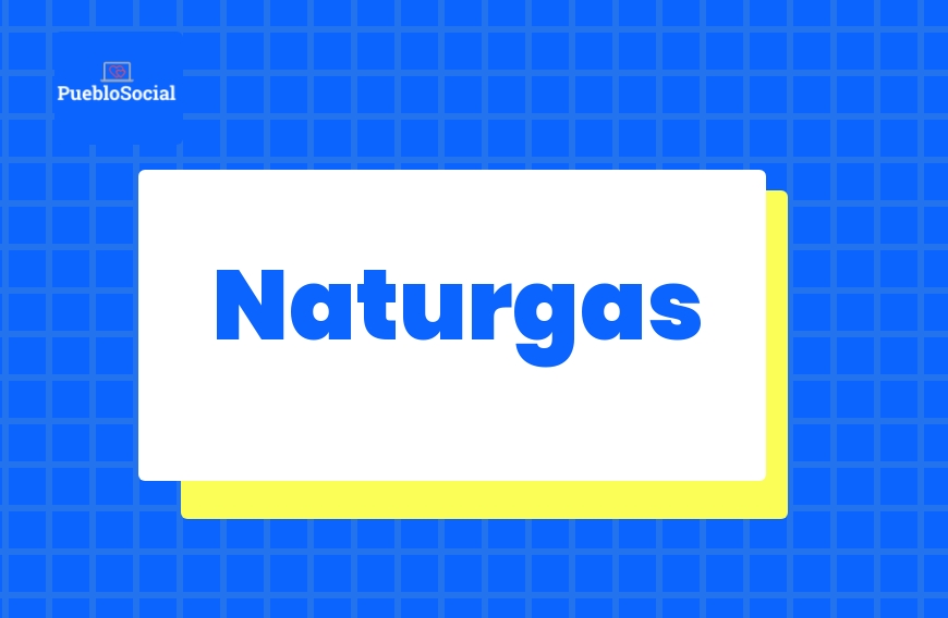 Naturgas Naturgas